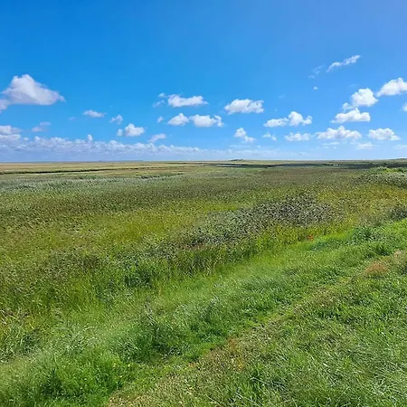 6 Person In Dom wakacyjny