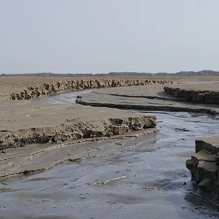 6 Person In Fanø